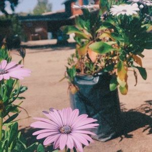 Meet your Posher, Elissa